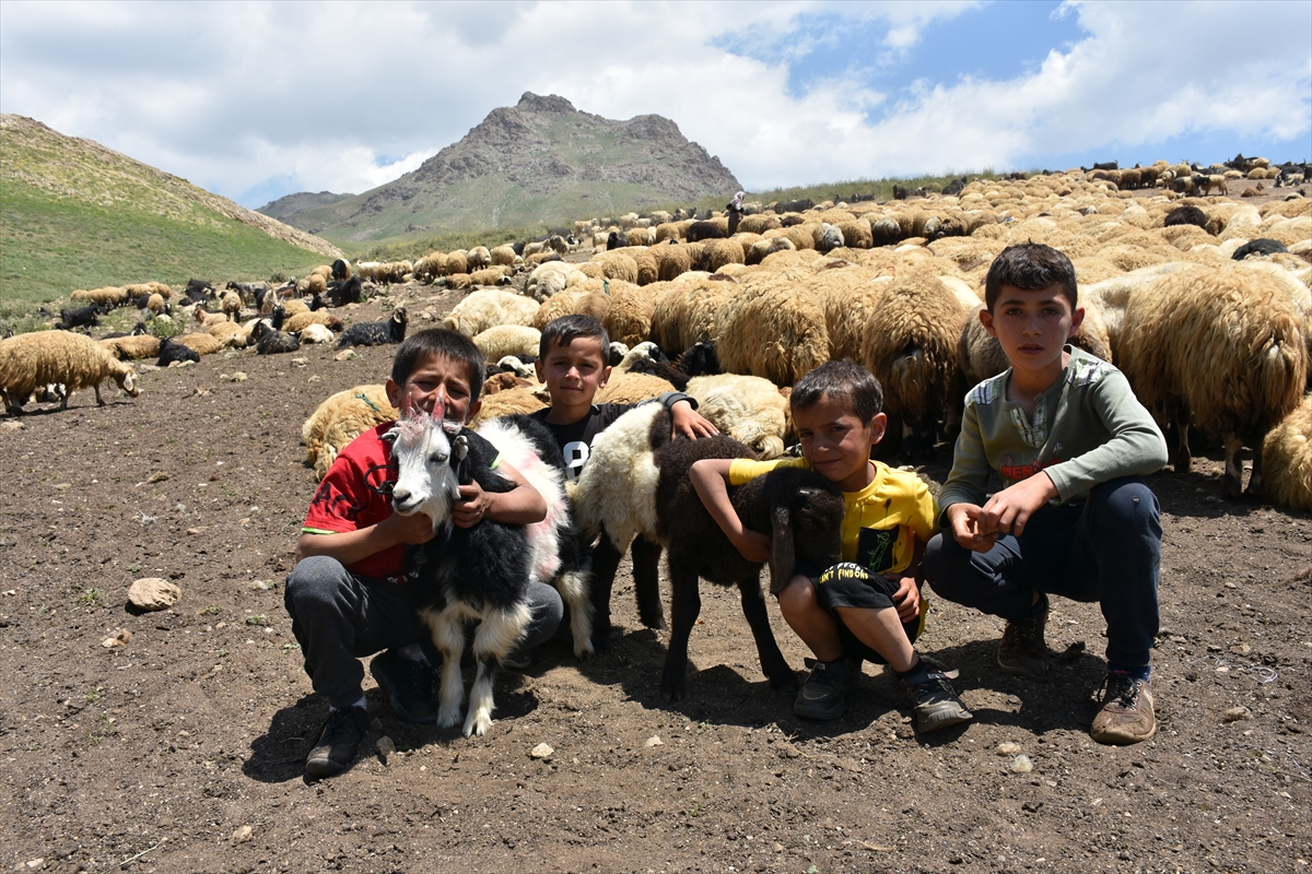 aa-20220710-28383703-28383680-hakkaride-hayvancilikla-ugrasan-aileler-2-bin-800-rakimli-yaylada-bayramlasti.jpg