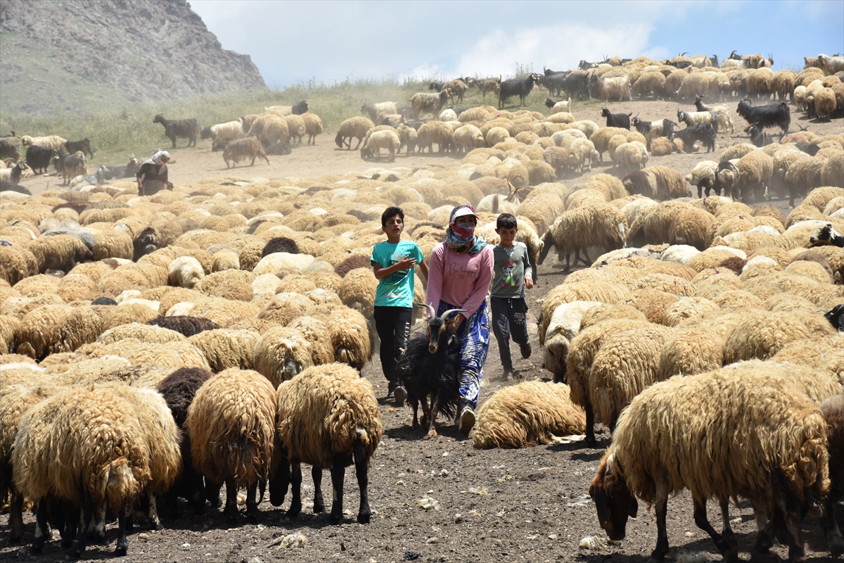 aa-20220710-28383703-28383683-hakkaride-hayvancilikla-ugrasan-aileler-2-bin-800-rakimli-yaylada-bayramlasti.jpg