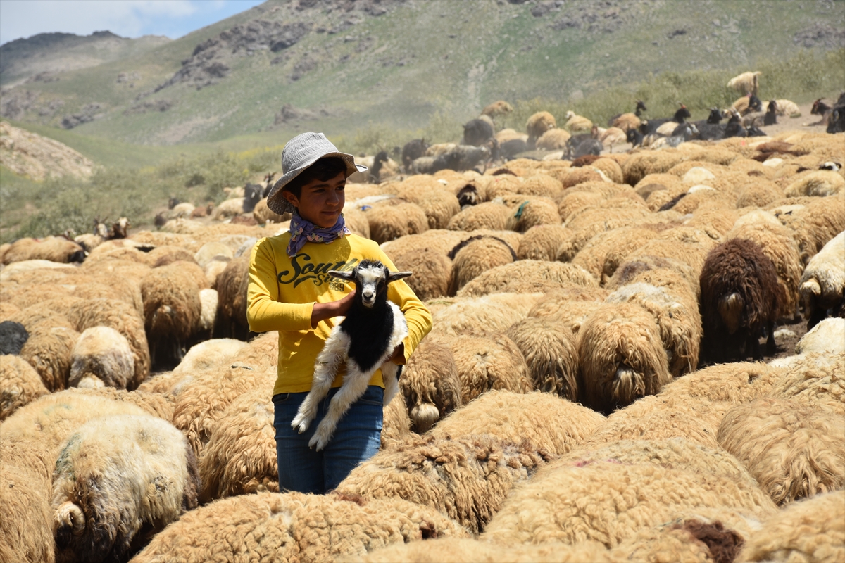 aa-20220710-28383703-28383687-hakkaride-hayvancilikla-ugrasan-aileler-2-bin-800-rakimli-yaylada-bayramlasti.jpg