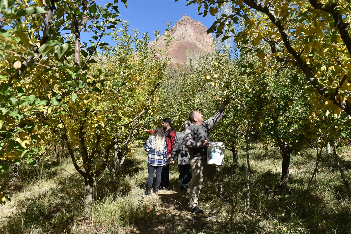 aa-20221112-29420768-29420754-hakkaride-devlet-destegiyle-olusturulan-bahceler-elma-uretimini-artirdi.jpg