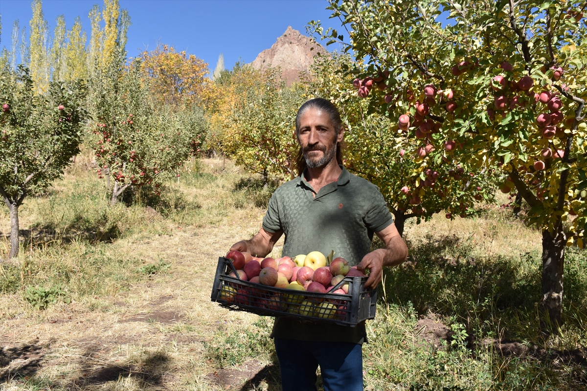 aa-20221112-29420768-29420763-hakkaride-devlet-destegiyle-olusturulan-bahceler-elma-uretimini-artirdi.jpg