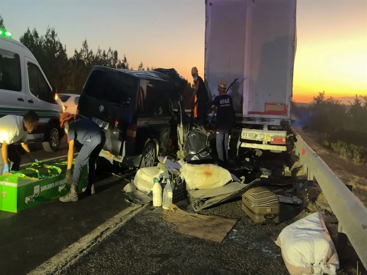 26136908-1200xauto.webp