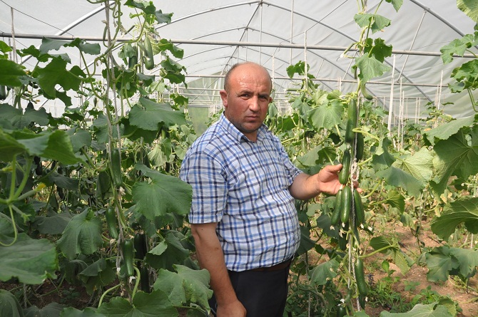 22-001.jpg 22-001.jpg