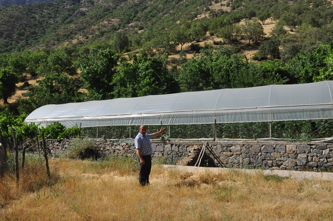 24-002.jpg 24-002.jpg