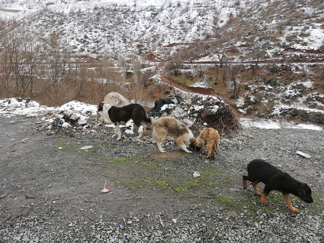 2ebbfcaf-7006-49ca-9274-7b758cba6c06.jpg 2ebbfcaf-7006-49ca-9274-7b758cba6c06.jpg