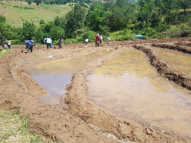 3-20200531092840.jpg 3-20200531092840.jpg