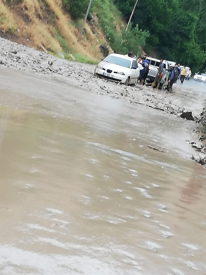 3-20200705172423.jpg 3-20200705172423.jpg