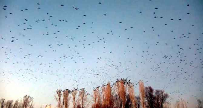 3-20210128100726.jpg 3-20210128100726.jpg