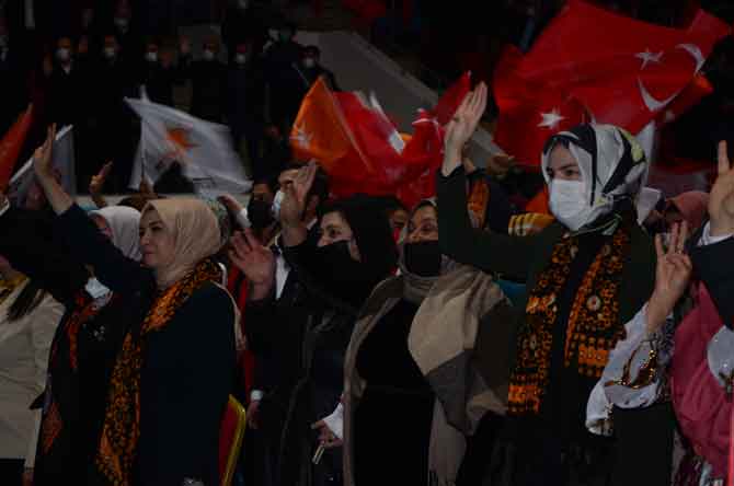 3-20210219165450.jpg 3-20210219165450.jpg