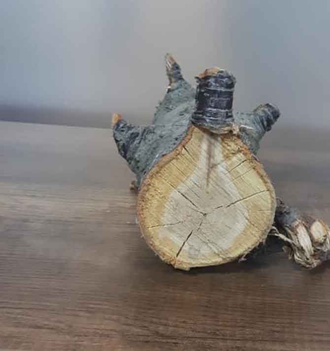 3-20210304090731.jpg 3-20210304090731.jpg