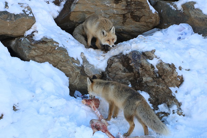 4-20201227093217.jpg 4-20201227093217.jpg