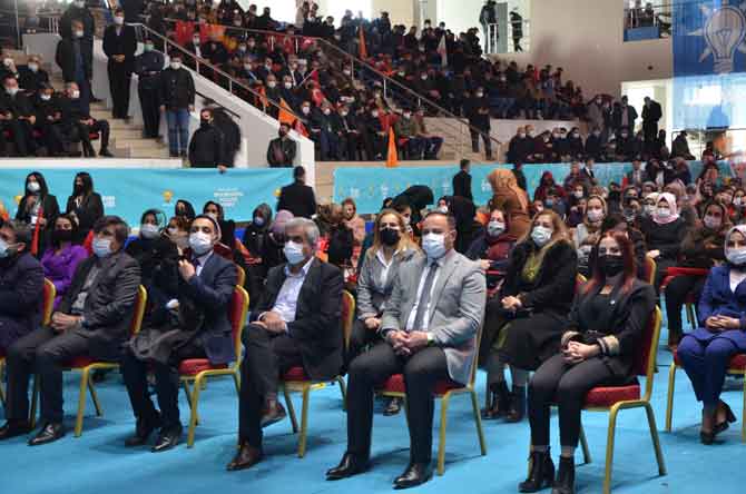 4-20210219165450.jpg 4-20210219165450.jpg