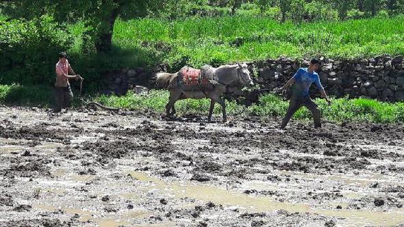 591963a2eb10bb48d06eea00.jpg 591963a2eb10bb48d06eea00.jpg