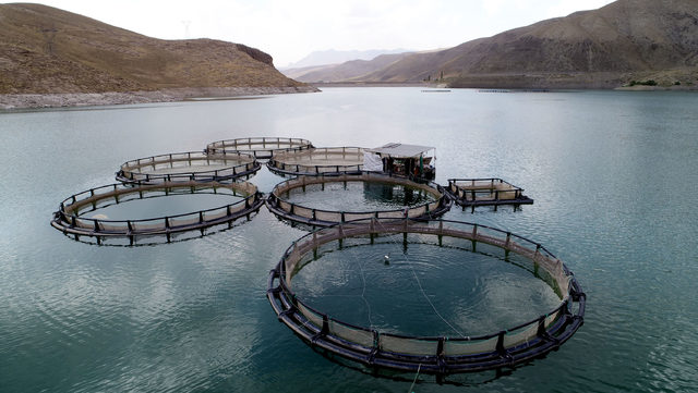 640xauto-004.jpg 640xauto-004.jpg