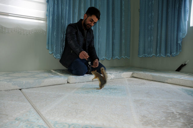 640xauto-009.jpg 640xauto-009.jpg