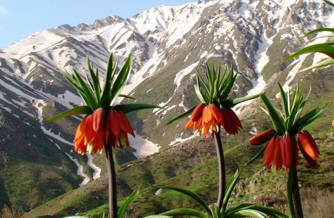 87-008.jpg 87-008.jpg