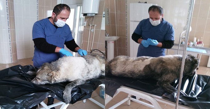 ac54c180-1f4a-42ed-9fe5-ac6037b0fc77.jpg ac54c180-1f4a-42ed-9fe5-ac6037b0fc77.jpg