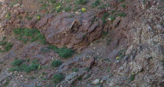 c290fd50-bcc5-4f7f-a973-d14e72479396.jpg c290fd50-bcc5-4f7f-a973-d14e72479396.jpg