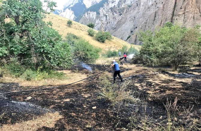 d1-009.jpg d1-009.jpg