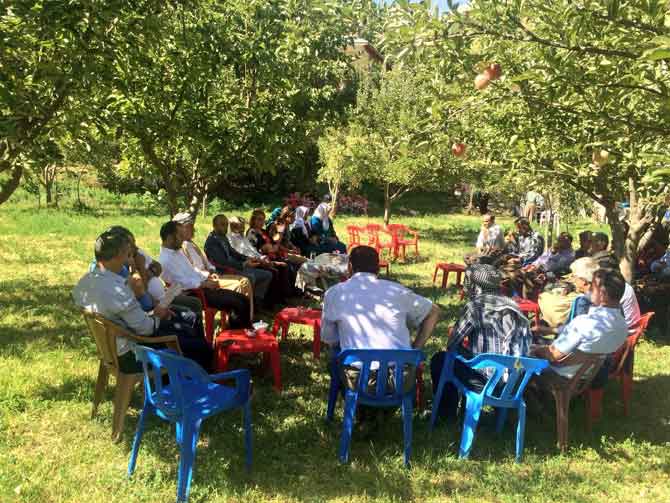 d4-003.jpg d4-003.jpg