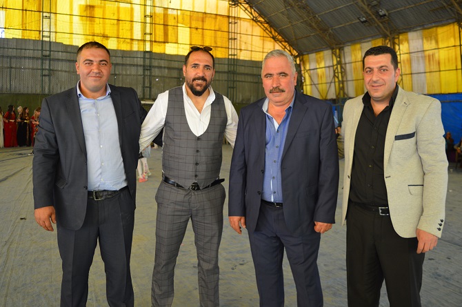 dsc_0006.jpg dsc_0006.jpg