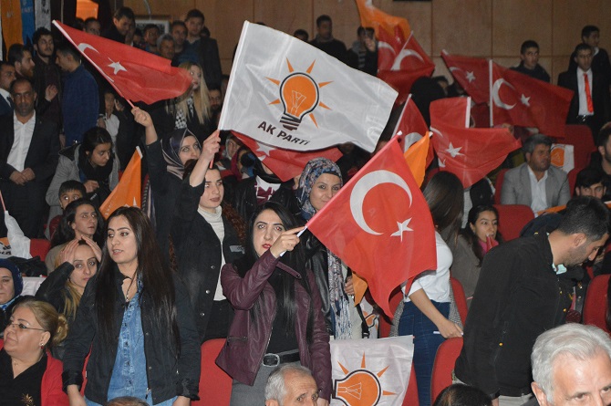 dsc_0105.jpg dsc_0105.jpg