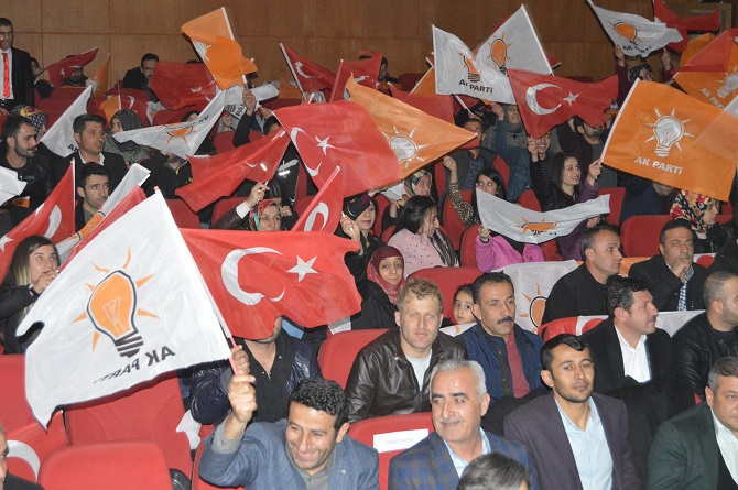 dsc_0109.jpg dsc_0109.jpg