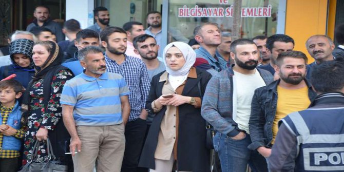 dsc_3274.jpg dsc_3274.jpg