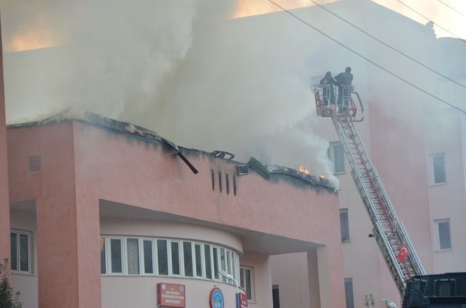 dsc_3661.jpg dsc_3661.jpg