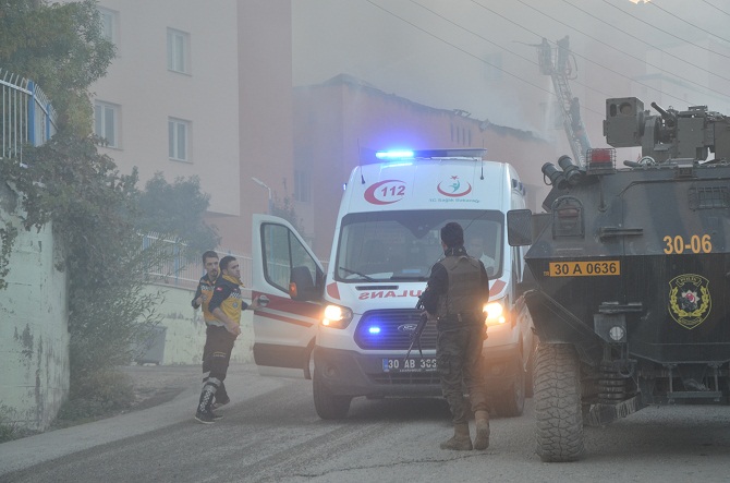 dsc_3699.jpg dsc_3699.jpg