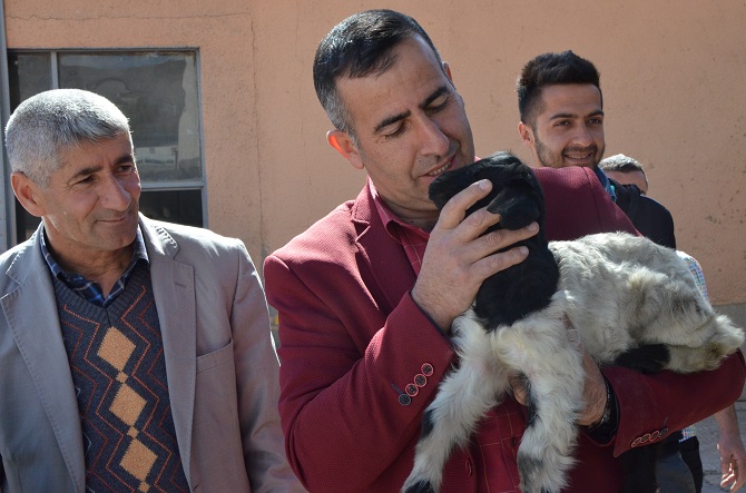 dsc_5366.jpg dsc_5366.jpg