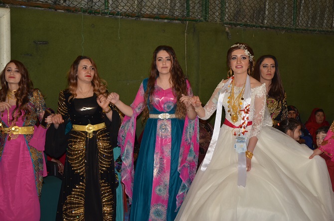 dsc_5871.jpg dsc_5871.jpg