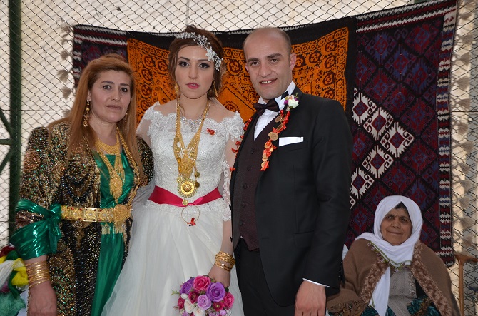 dsc_5967.jpg dsc_5967.jpg