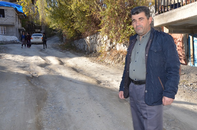 dsc_9239.jpg dsc_9239.jpg