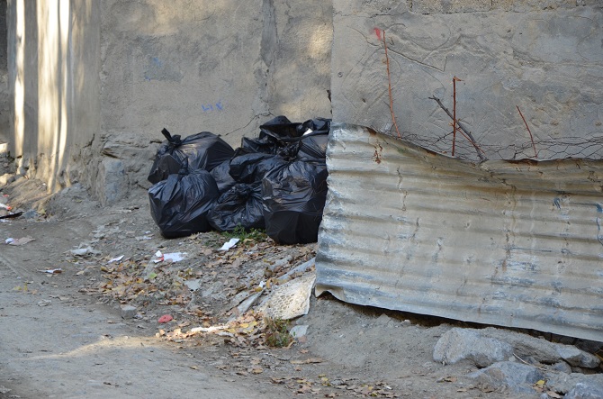 dsc_9247.jpg dsc_9247.jpg