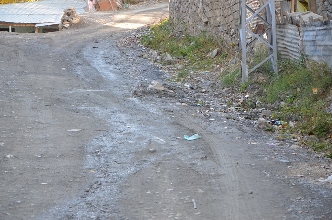 dsc_9258.jpg dsc_9258.jpg