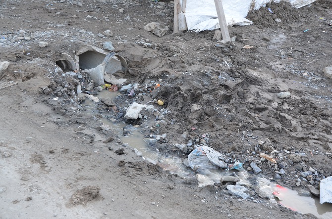 dsc_9271.jpg dsc_9271.jpg