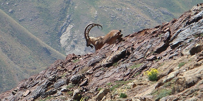 fdefc367-3c19-4537-aff2-65718bf4372c.jpg fdefc367-3c19-4537-aff2-65718bf4372c.jpg