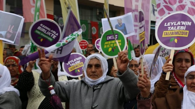 hdp11-1.jpg