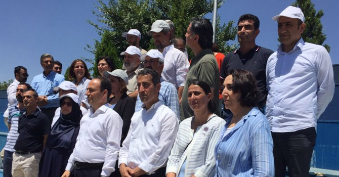 hdptoplantii.jpg hdptoplantii.jpg