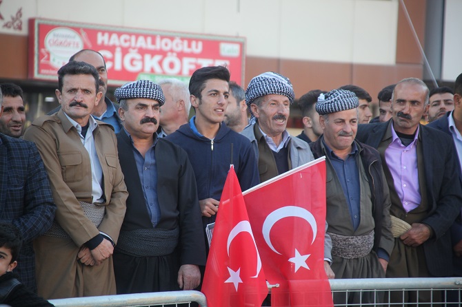 img_2656.jpg img_2656.jpg