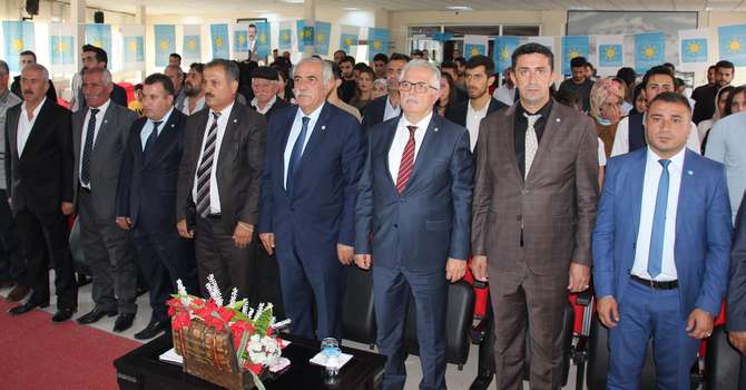 img_7230.jpg img_7230.jpg