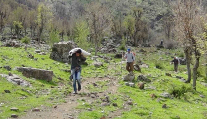 sirnakin-beytussebap-ilcesinde-ogrenciler-pancar-bitkisi-003.jpg sirnakin-beytussebap-ilcesinde-ogrenciler-pancar-bitkisi-003.jpg