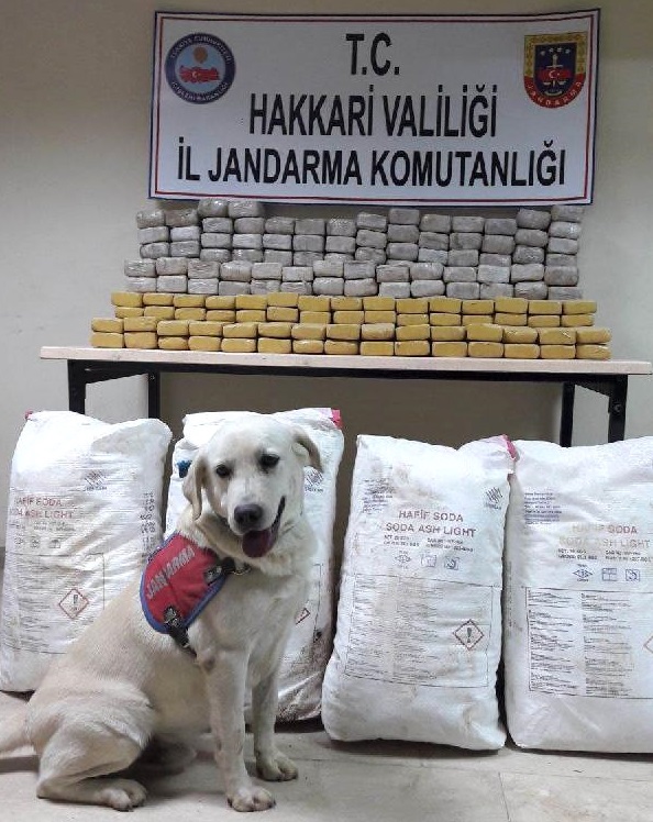 yuksekova-da-topraga-gomulu-144-kilo-eroin-el-10232886_o.jpg yuksekova-da-topraga-gomulu-144-kilo-eroin-el-10232886_o.jpg