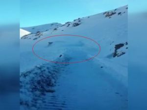 Hakkari-Van karayolunda iş makinesi'nin üzerine çığ düştü