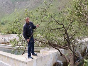 Fırtına ağaçları kökünden söktü, çatıları uçurdu